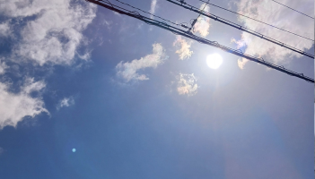 晴天ちょっと暑いなぁ～な日
