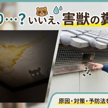 獣害？雨漏り？